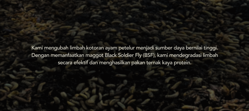 B_C1_Slide 2 (1) (2)