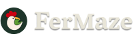 FerMaze
